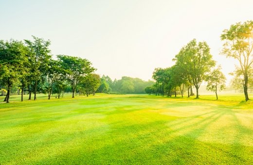 RZ Asks a Pro Landscaper: How Do You Get Green Grass All Summer? - RZ Mask