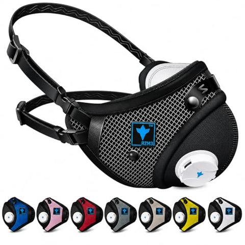 RZM3 mask