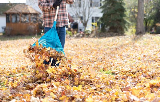 RZ Asks a Pro Landscaper: How Should You Prep Your Yard for Winter? - RZ Mask