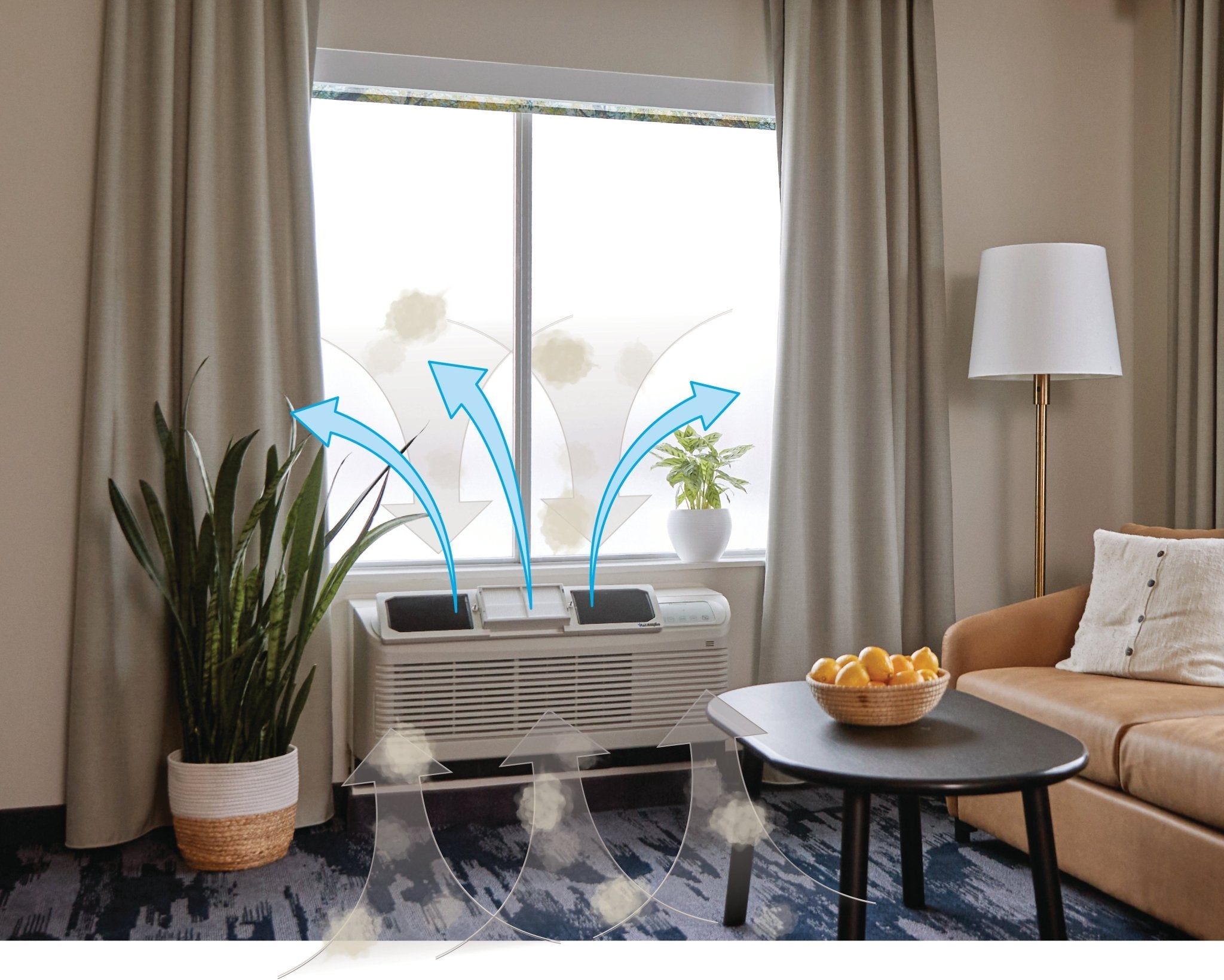 The NYC & NJ High-Rise Wellness Lifestyle: Is Your Apartment Air Keeping Up? - RZ Mask