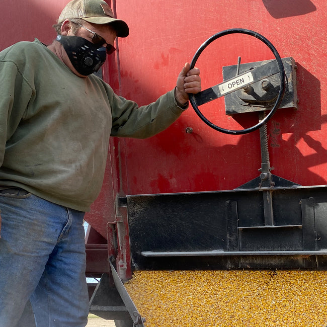 Farmer wearing an rz mask m1 neoprene mask while unloading corn from a truck to protect from dust