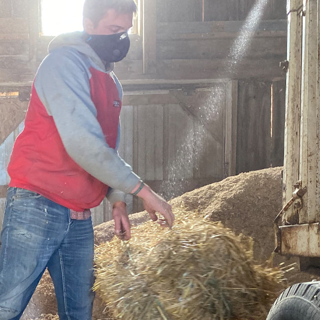 farmer wearing an rz mask m2 black to protect against dust while unloading hay from a truck