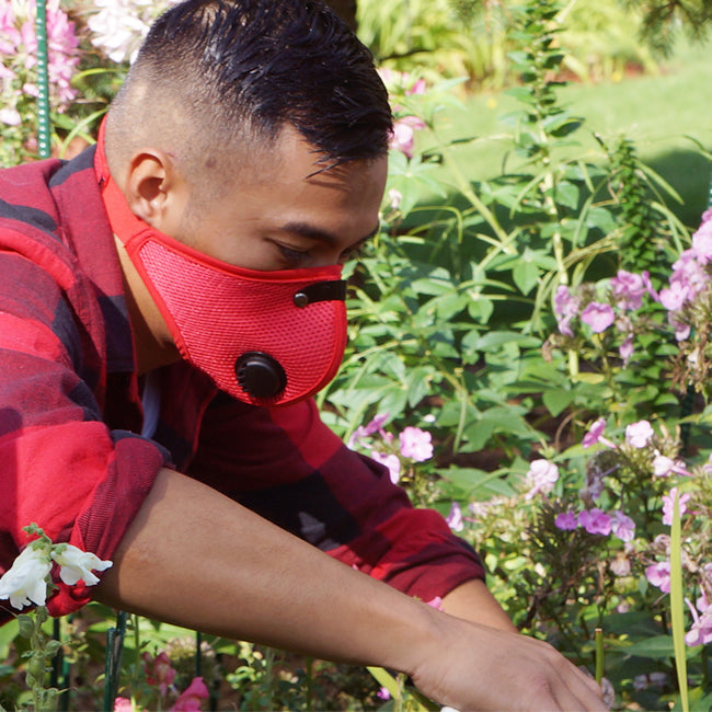 man in a garden wearing an rz mask m2 red to protect from pollen and other allergens.