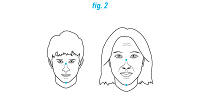 RZ face diagram marking the nose bridge and chin endpoints