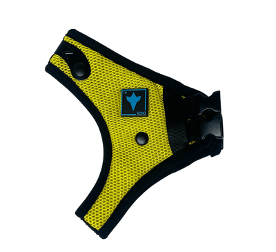 RZM3 Mask Shell - RZ Mask