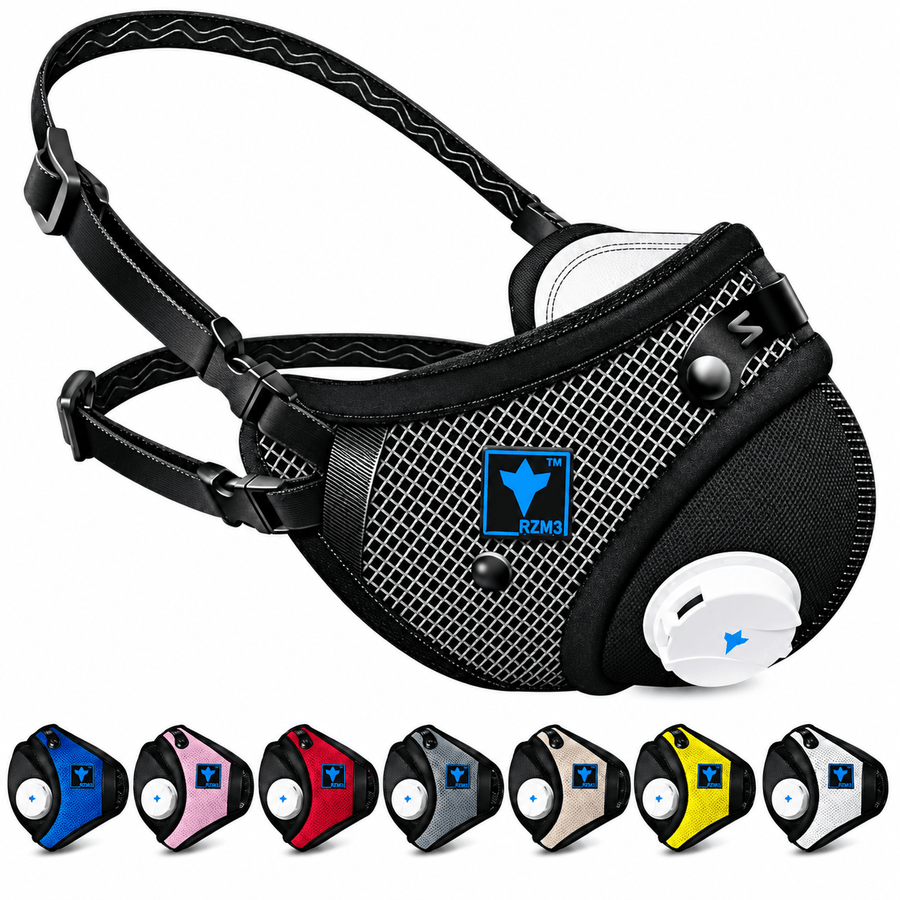 RZM3 reusable mask